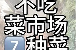 难阻失利！约基奇23中13砍36+13+14+0失误 生涯第113个三双